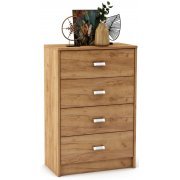 дуб золотистый