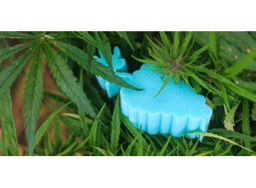 Матрас Amnesia XL