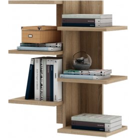 Полка Кевин