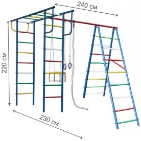 Детский спортивный комплекс Вертикаль-А+П