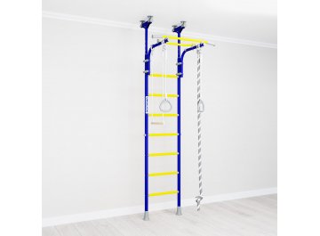 Детский спортивный комплекс для дачи R5 01.20.7.06.490.03.00-24 синяя слива