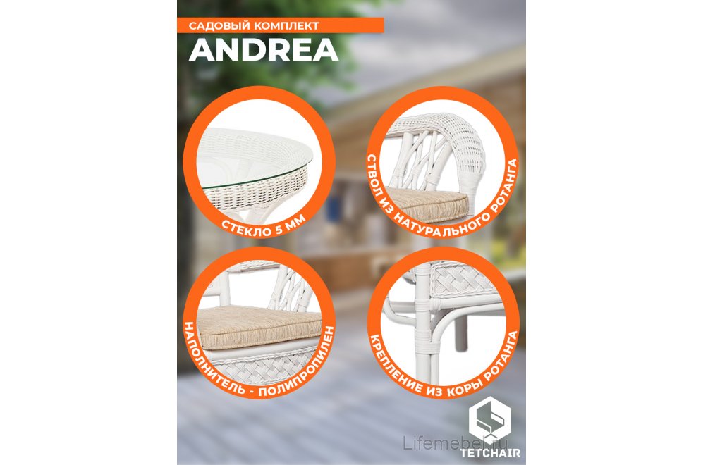Обеденная группа Andrea TCH white