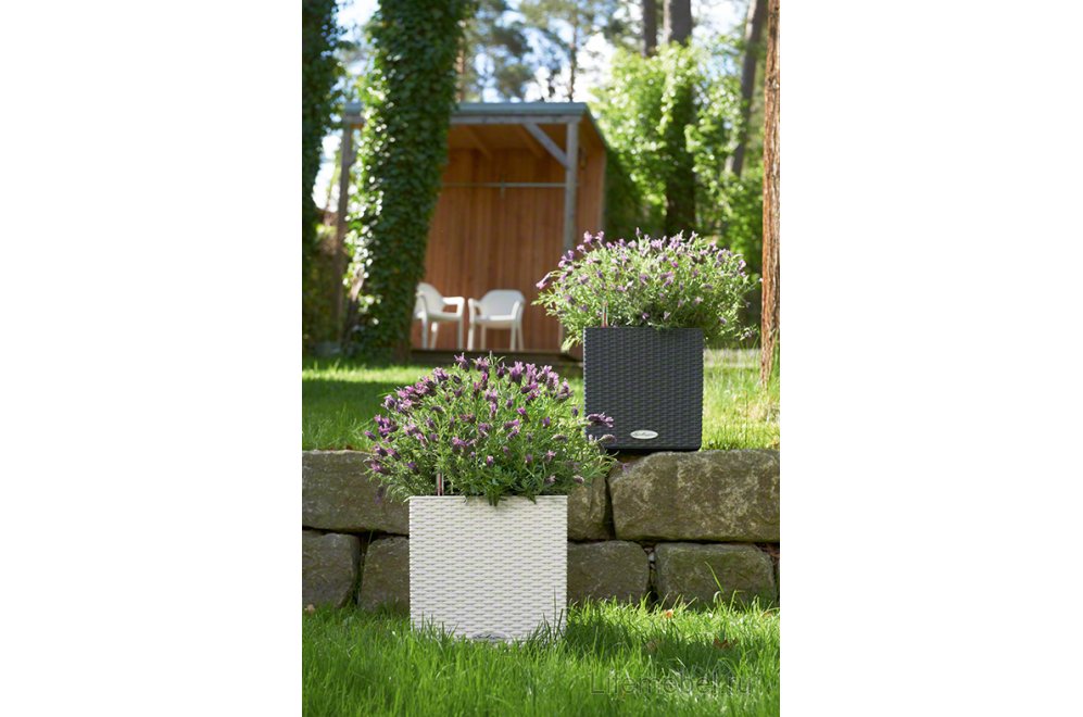 Кашпо Lechuza 15372 CUBE Cottage 30 Гранит