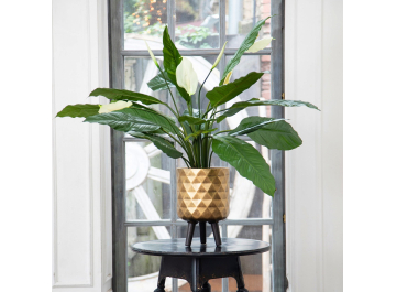 Кашпо Даймонд DMND-RND-24-GLD