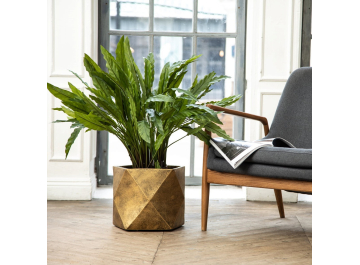 Кашпо Геометри Ромб DSQUARE38-GLD