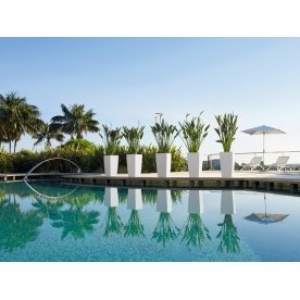 Кашпо Lechuza 13158 CUBICO Color 40