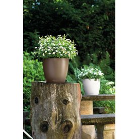 Кашпо Lechuza 13190 CLASSICO Color 28