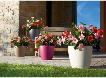 Кашпо Lechuza 13204 CLASSICO Color 28