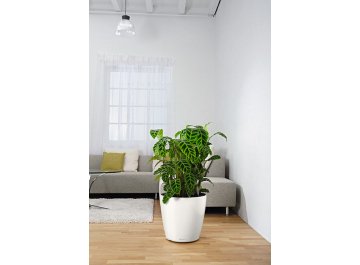 Кашпо Lechuza 13230 CLASSICO Color 43