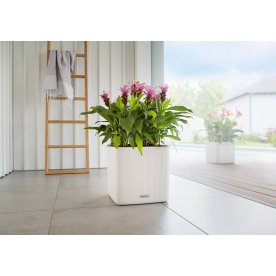 Кашпо Lechuza 13480 CUBE LS Color 35 белый