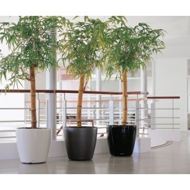 Кашпо Lechuza 14500 CLASSICO 60 без системы автоп