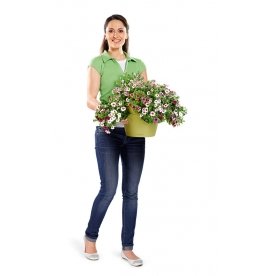 Кашпо Lechuza 14995 CASCADINO Color