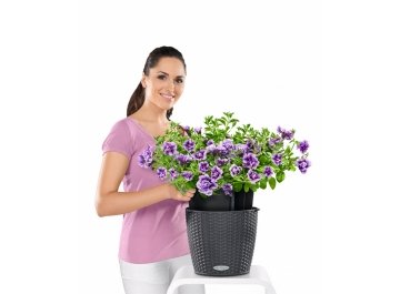 Кашпо Lechuza 15195 NIDO Cottage