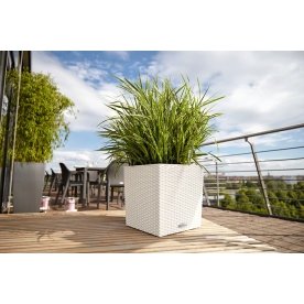 Кашпо Lechuza 15376 CUBE Cottage 30