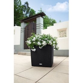 Кашпо Lechuza 15390 CUBE Cottage 50