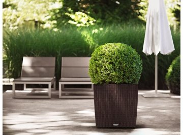 Кашпо Lechuza 15390 CUBE Cottage 50