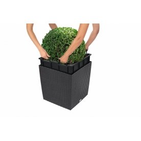 Кашпо Lechuza 15392 CUBE Cottage 50