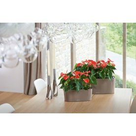 Кашпо Lechuza 15460 DELTA 10