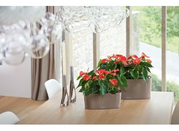 Кашпо Lechuza 15467 DELTA 10