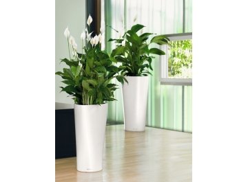 Кашпо Lechuza 15519 DELTA 30