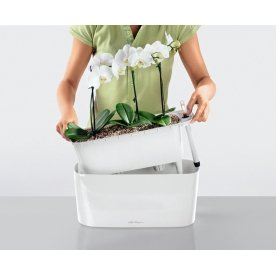 Кашпо Lechuza 15566 DELTA 20