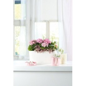 Кашпо Lechuza 15572 DELTA 20