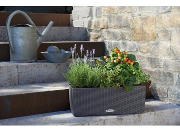 Кашпо Lechuza 15605 BALCONERA Cottage 50