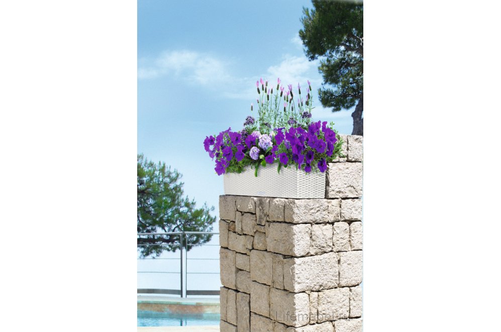 Кашпо Lechuza 15612 BALCONERA Cottage 80 Гранит