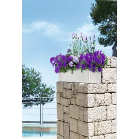 Кашпо Lechuza 15615 BALCONERA Cottage 80