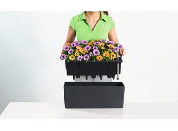 Кашпо Lechuza 15670 BALCONERA Color 50