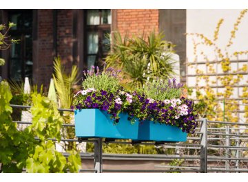 Кашпо Lechuza 15670 BALCONERA Color 50