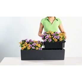 Кашпо Lechuza 15683 BALCONERA Color 80