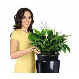 Кашпо Lechuza 15799 RONDO 32