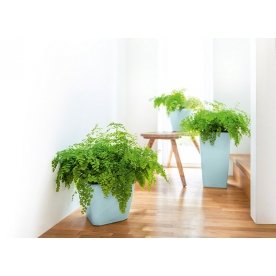 Кашпо Lechuza 16023 CLASSICO LS 21