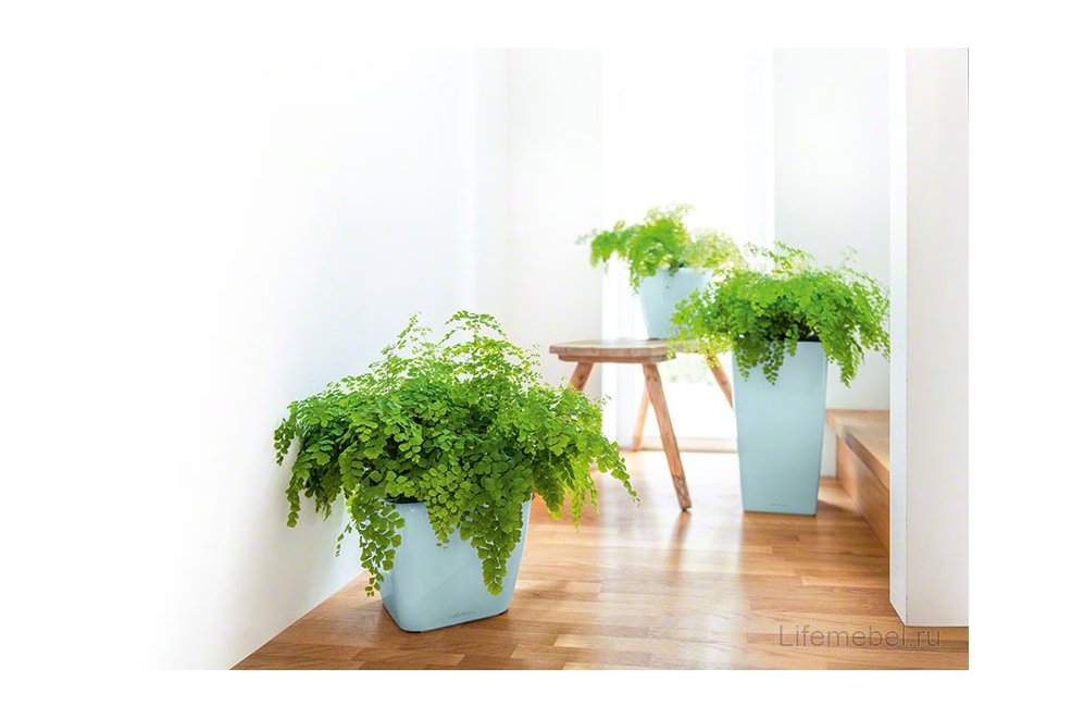 Кашпо Lechuza 16023 CLASSICO LS 21 Антрацитовый металлик