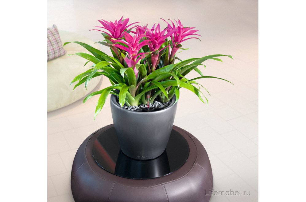 Кашпо Lechuza 16043 CLASSICO LS 28 Антрацитовый металлик