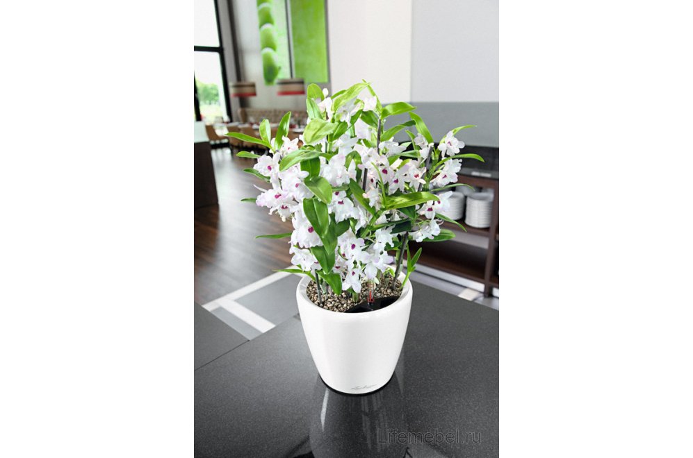 Кашпо Lechuza 16089 CLASSICO LS 43 Черный блестящий