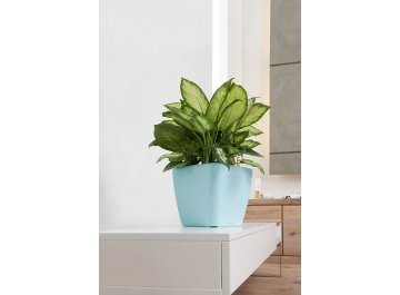 Кашпо Lechuza 16127 QUADRO LS 21