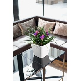 Кашпо Lechuza 16140 QUADRO LS 28
