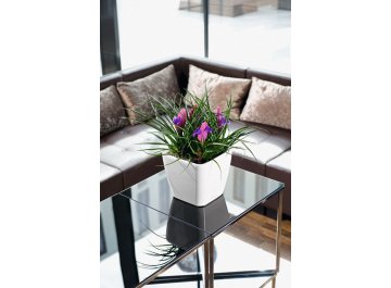 Кашпо Lechuza 16145 QUADRO LS 28