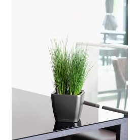 Кашпо Lechuza 16147 QUADRO LS 28