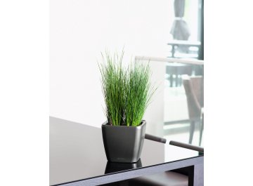 Кашпо Lechuza 16287 QUADRO LS 50