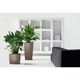 Кашпо Lechuza 16368 CUBE 40