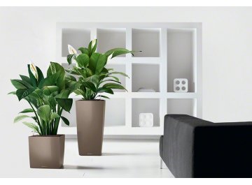 Кашпо Lechuza 16368 CUBE 40