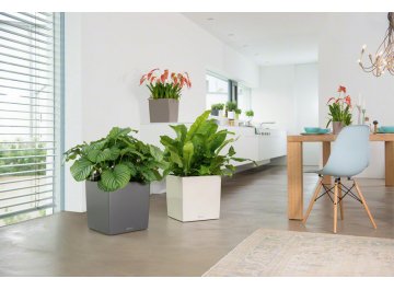 Кашпо Lechuza 16369 CUBE 40