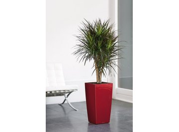 Кашпо Lechuza 18181 CUBICO 30