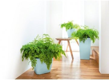 Кашпо Lechuza 18469 CUBICO 22