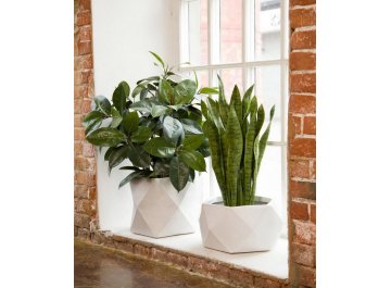 Кашпо Геометри Чаша W41 L41 H21 DBOWL41-AW