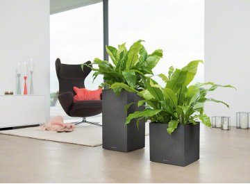 Кашпо Канто Стоун 30 колон