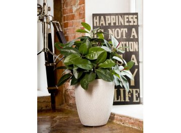 Кашпо Лотус Высокое Круглое D36 H42.5 MESHRV36-AW